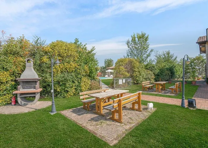 Mimosa 1 Castello di Contignaco